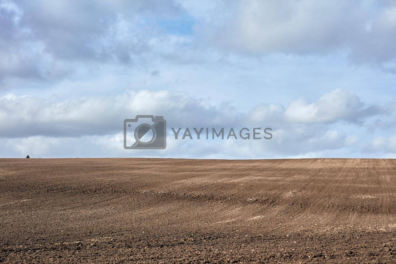 Early springtime in the countryside - Denmark. A photo of the countryside in early springtime