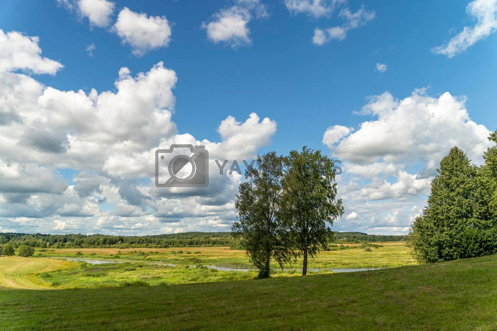 A background of blue sky with clouds, trees, a green field, a small river and a forest in the distance. Summer landscape