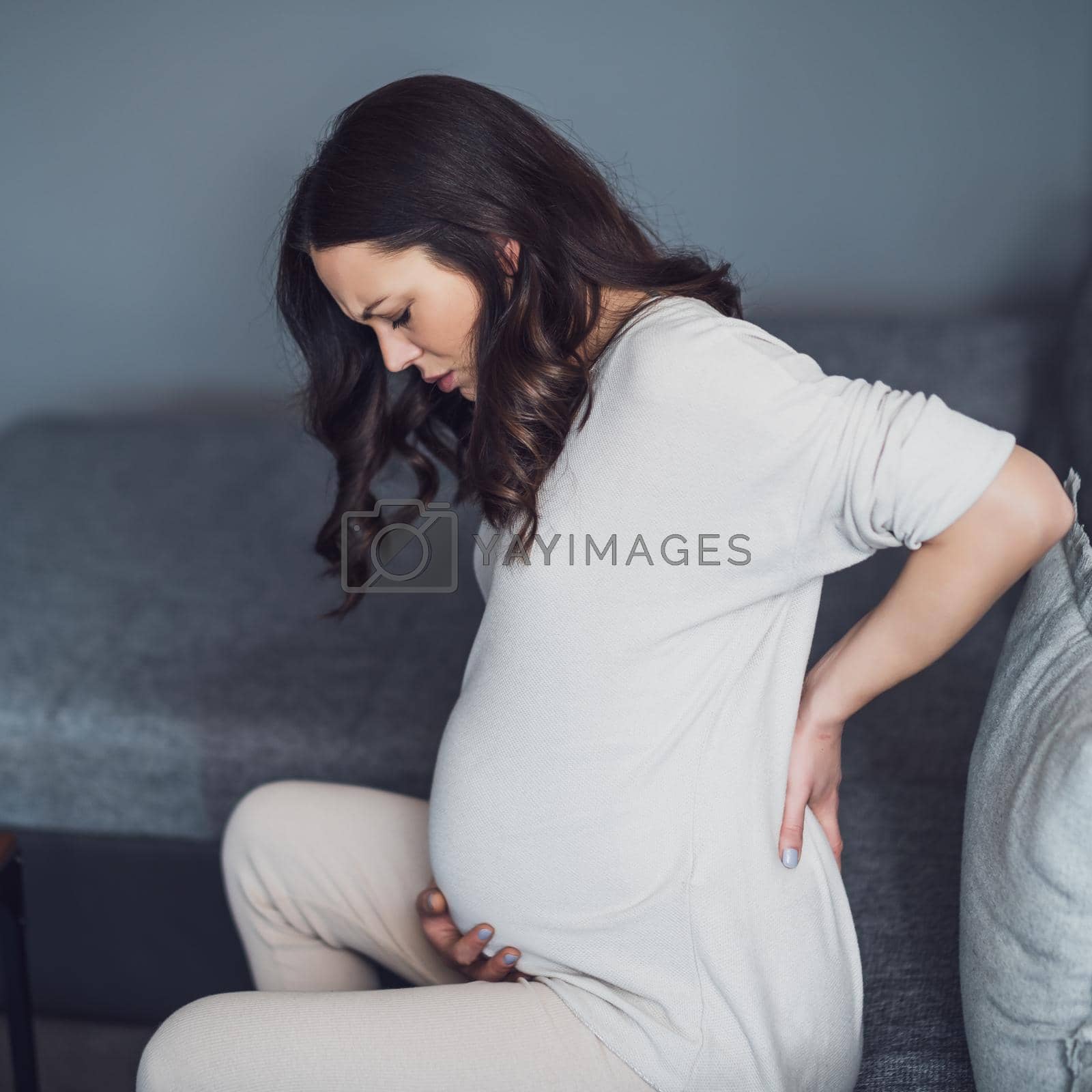 Royalty free image of Pregnancy by djoronimo