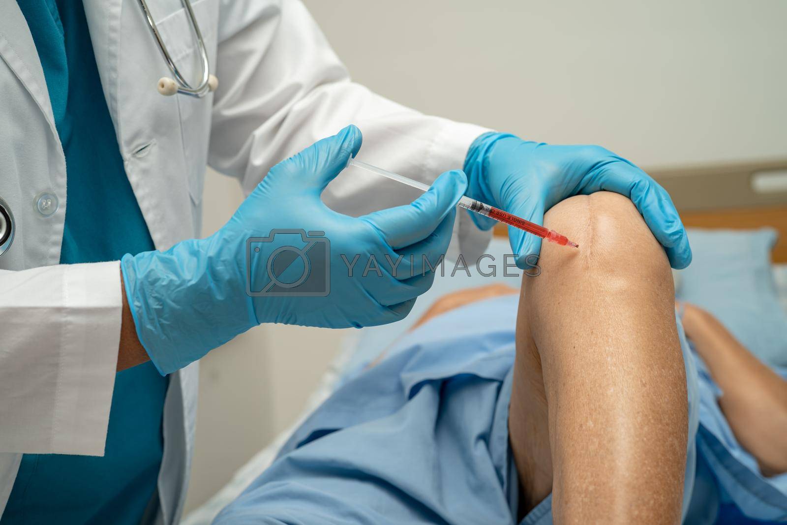 Royalty free image of Asian doctor inject Hyaluronic acid platelet rich plasma into the knee of senior woman to walk without pain. by pamai