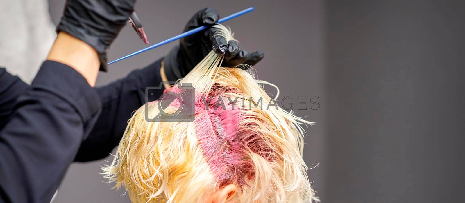 Royalty free image of Hairdresser's hands applying pink dye by okskukuruza
