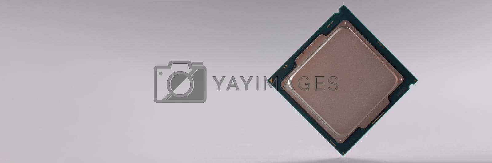 Royalty free image of Tiny central processing unit, processor chip on grey background by kuprevich
