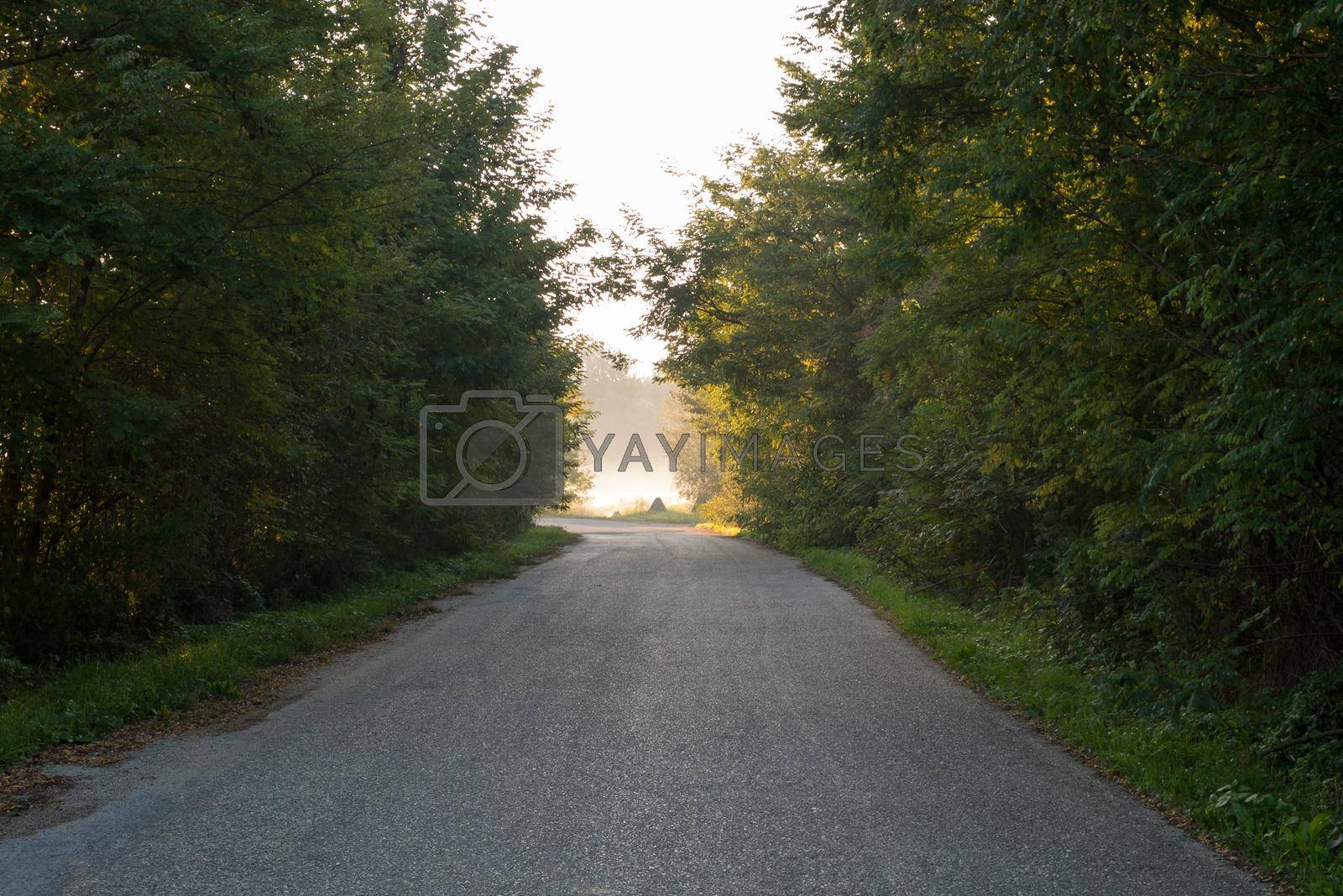 Royalty free image of Light at the end of the road by zebra