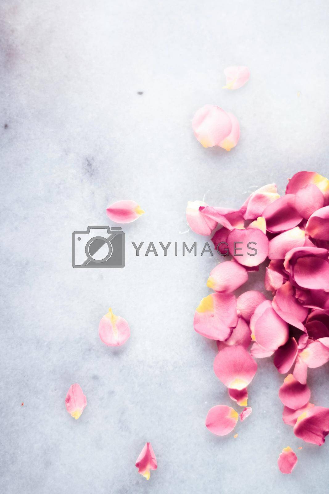 Delicate rose petals on marble stone - art of flowers, luxury background and floral beauty concept. A touch of romance