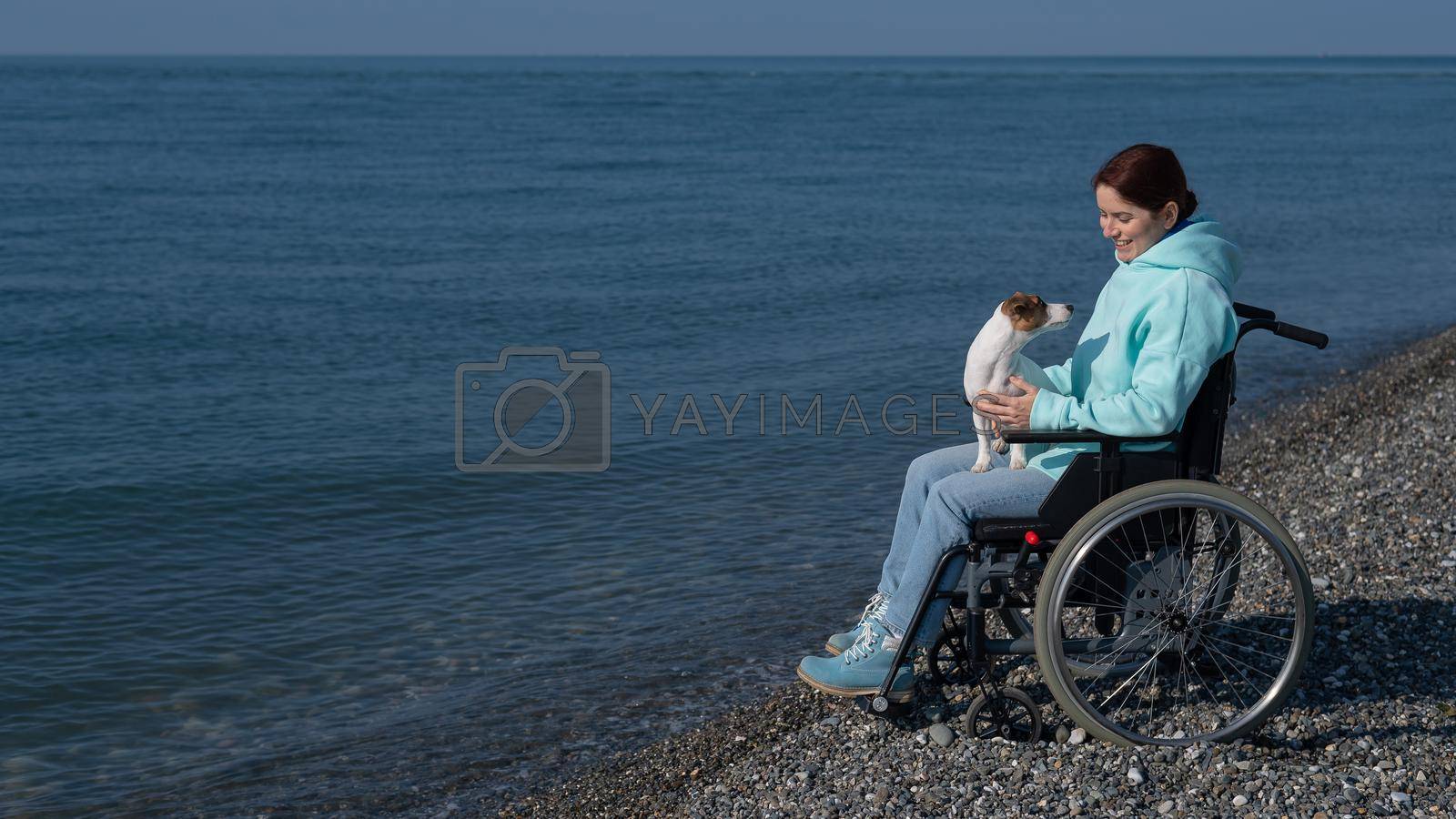 Royalty free image of Caucasian woman in a wheelchair with a dog at the sea. by mrwed54