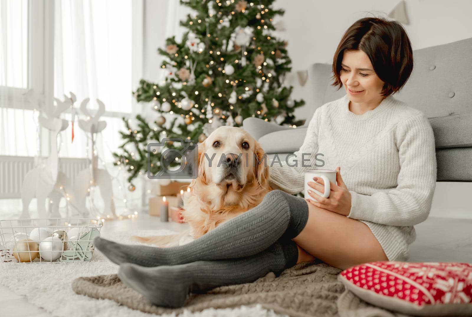 Royalty free image of Girl with cocoa and golden retriever dog by tan4ikk1