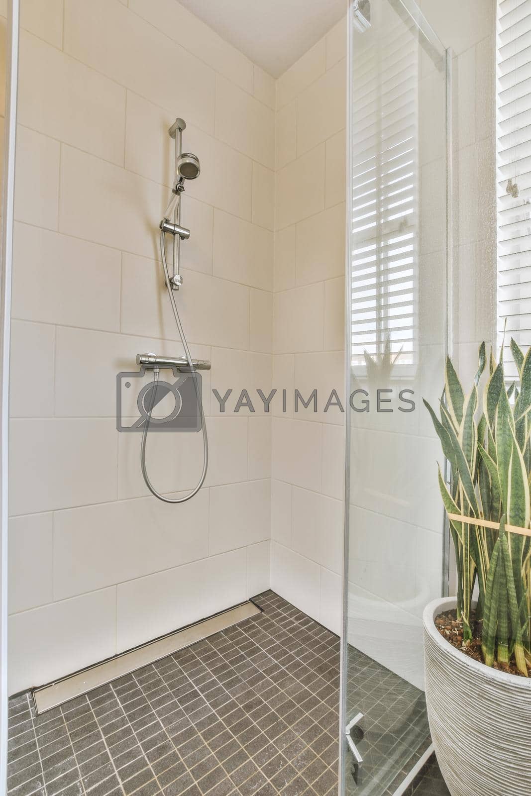 Royalty free image of Shower box in modern bathroom by casamedia