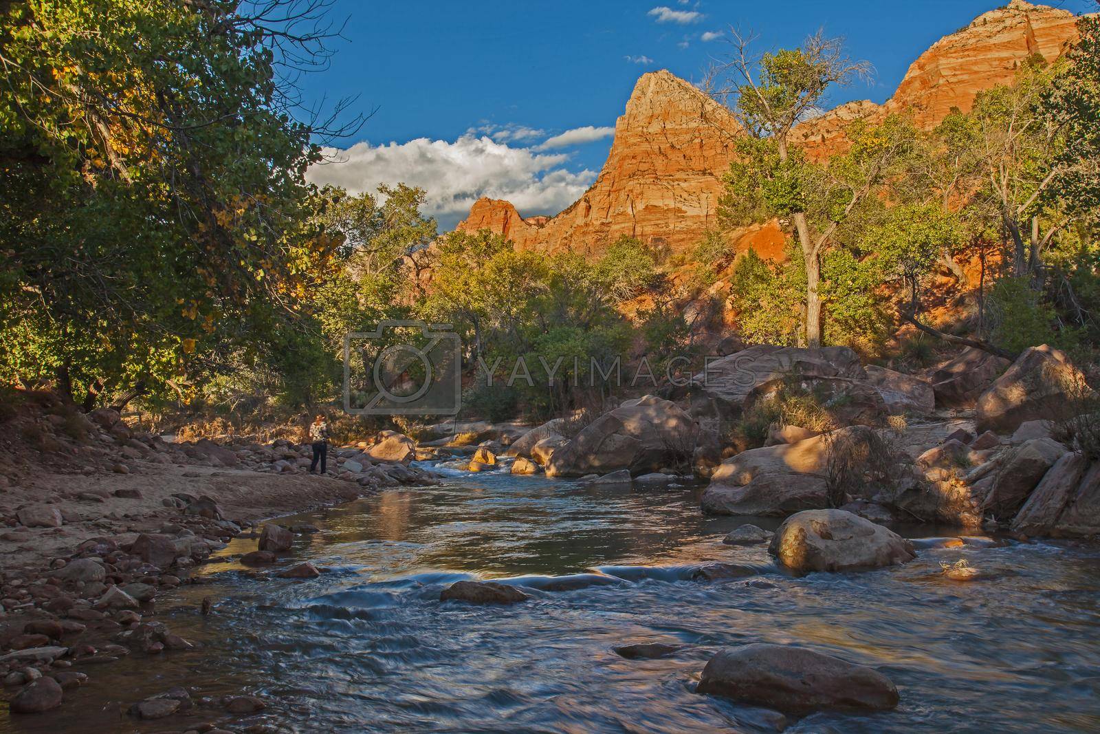 Royalty free image of Virgin River Zion National Park 2569 by kobus_peche