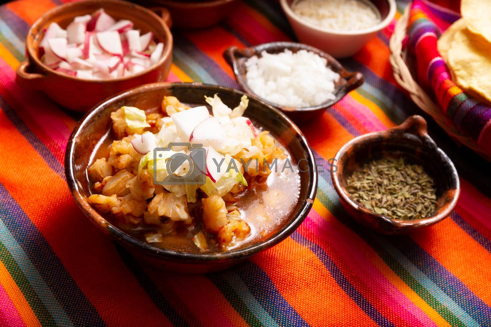 Royalty free image of Mexican Pozole by hayaship