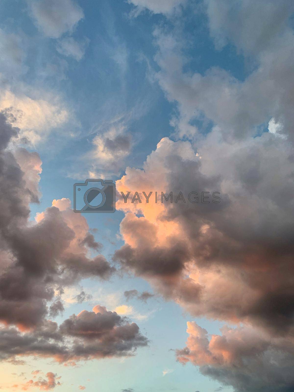 Royalty free image of Sky and cloud for background sunset or sunrise by Olena_Mykhailenko