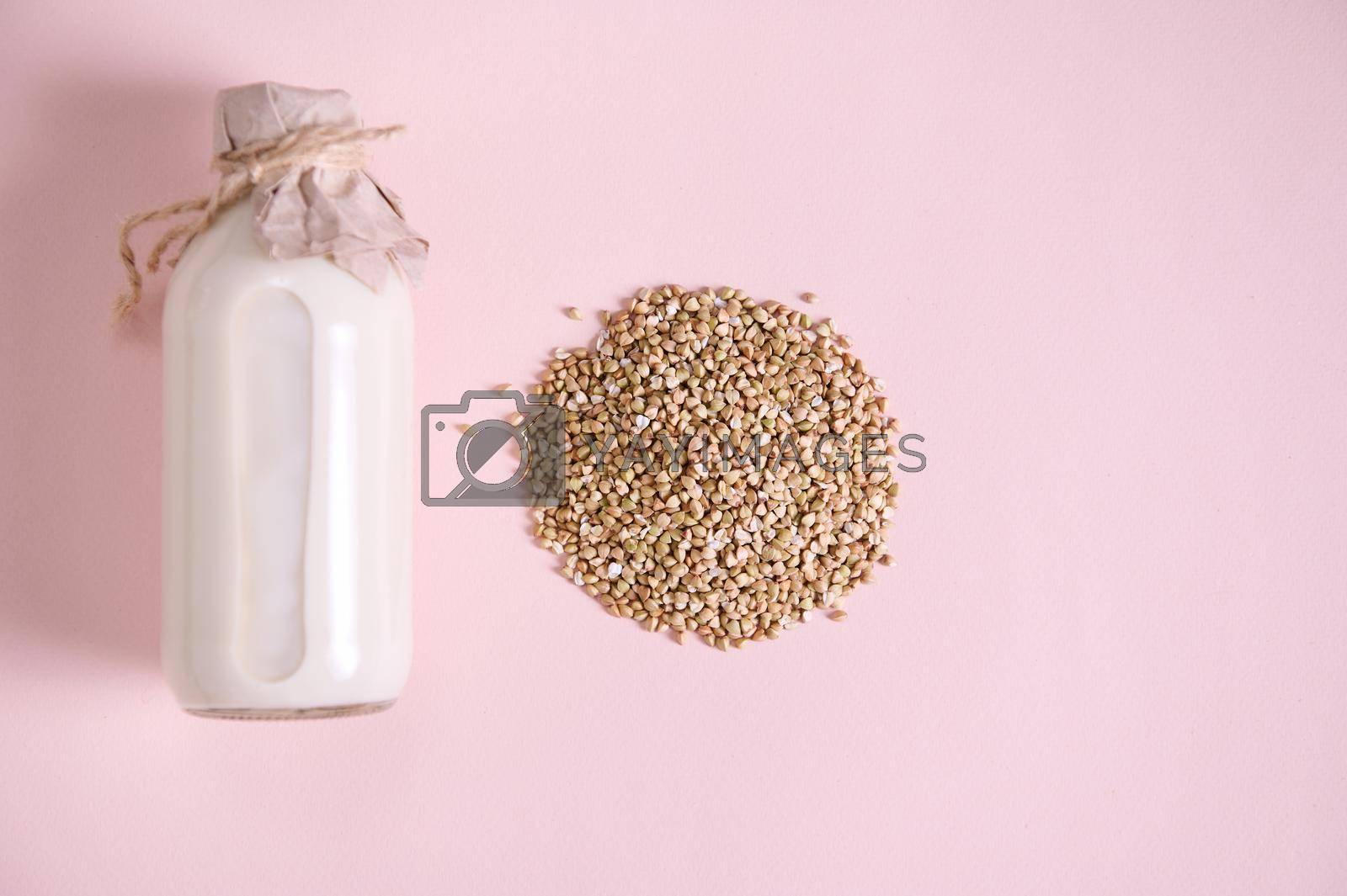 Royalty free image of Flat lay of a vegan green buckwheat milk in bottle, plant based milk replacer and grains of buckwheat on pink background by artgf