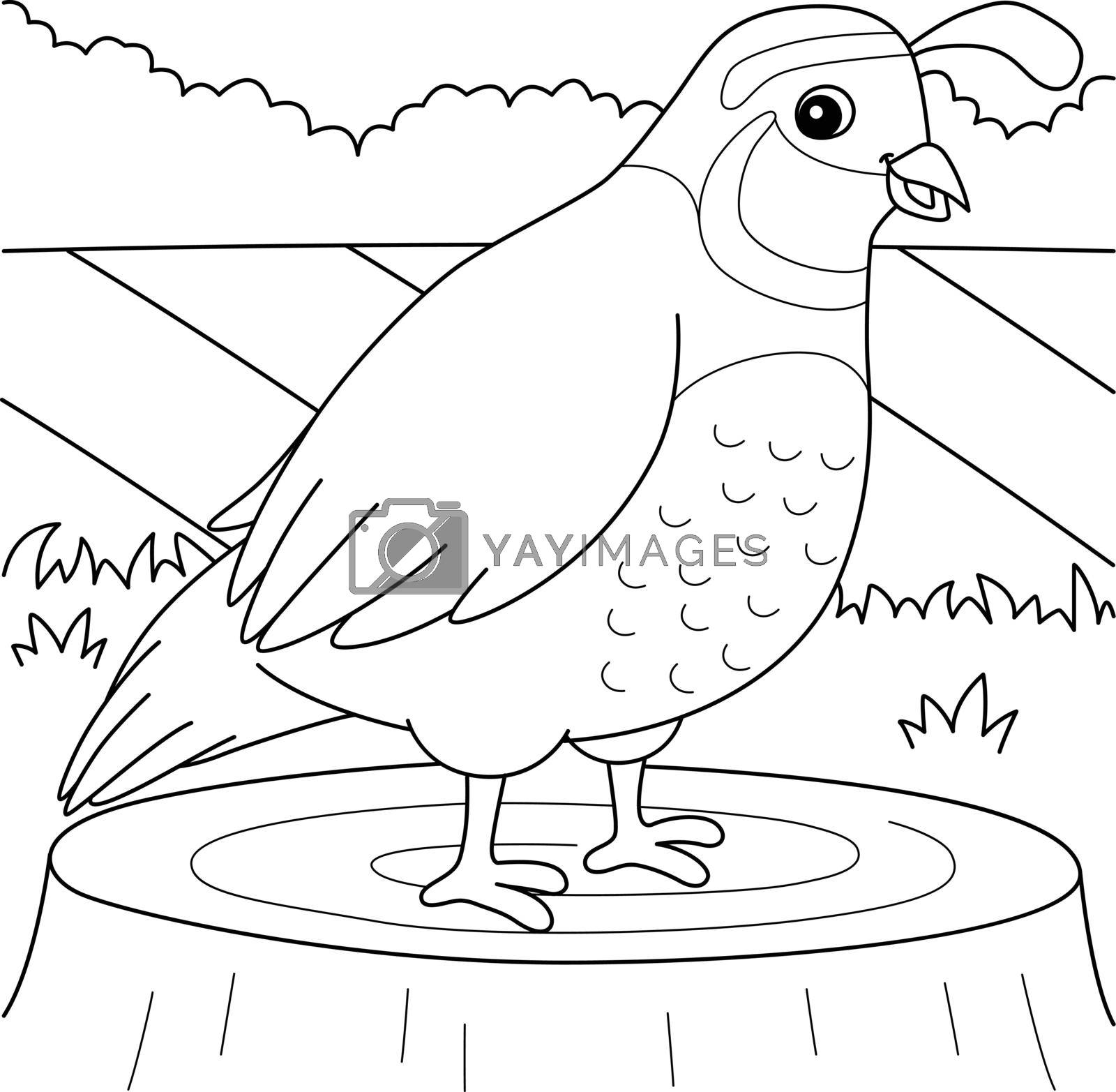 Royalty free image of Quail Animal Coloring Page for Kids by abbydesign