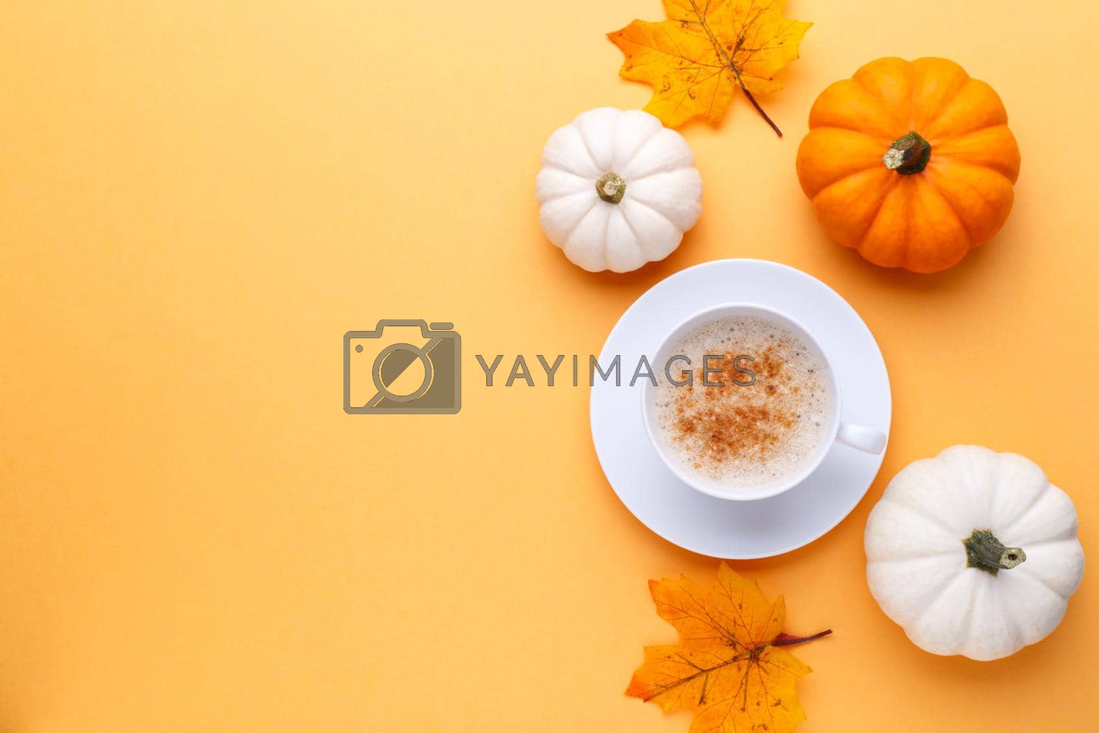 Royalty free image of Cup of coffee and pumpkins  by Lana_M