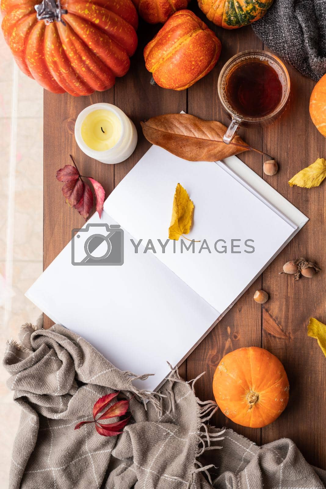 Royalty free image of Cozy autumn composition, sweater weather. Yellow leaves, hot tea and sweaters by Desperada