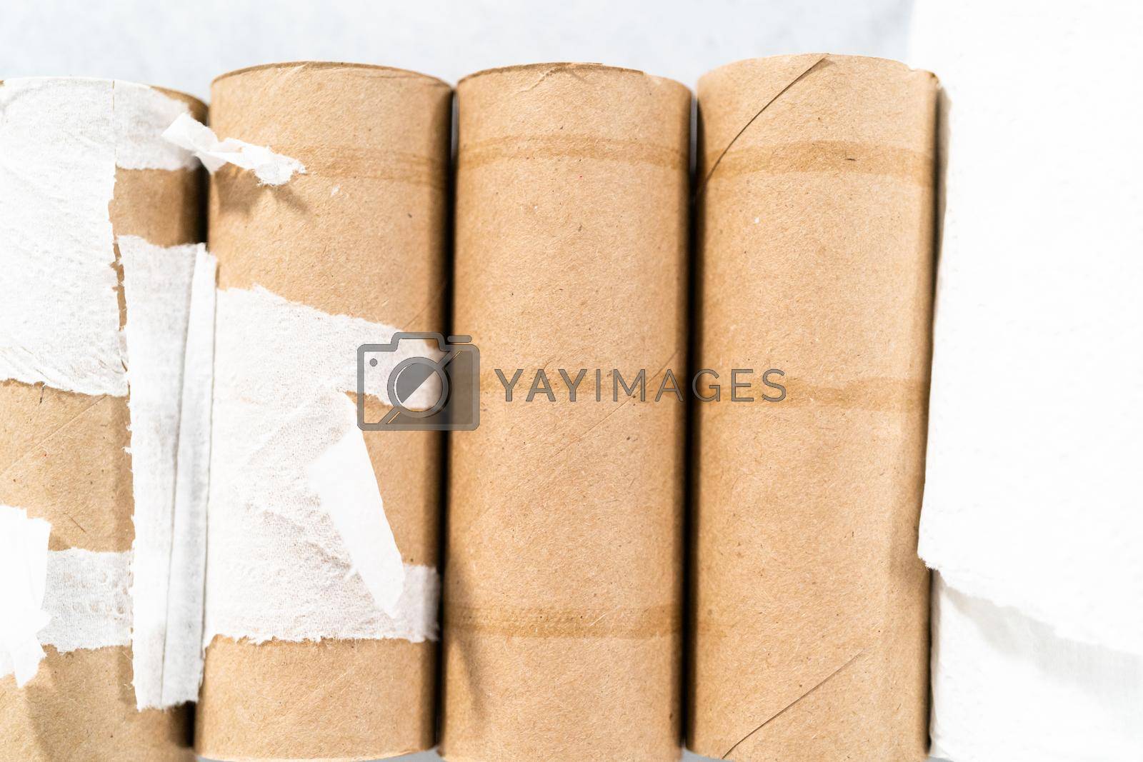 Royalty free image of Toilet paper by arinahabich