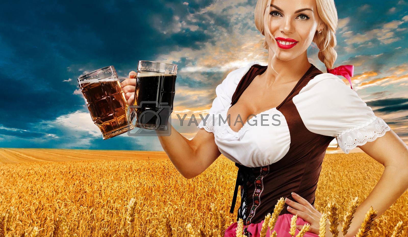 Royalty free image of Beer party. Sexy Oktoberfest woman - waitress, in Munich wearing a traditional german Bavarian dress, serving big beer mugs on golden wheat field background. by MikeOrlov
