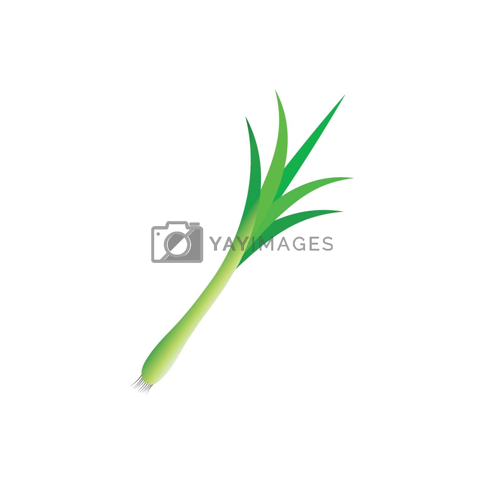 Royalty free image of Leek vegetable icon template  by ABD03