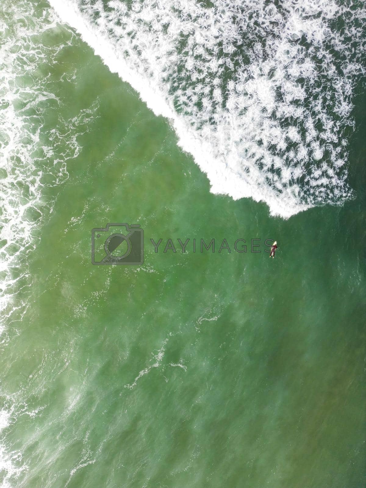 Royalty free image of Surfer in the wavy sea by homydesign