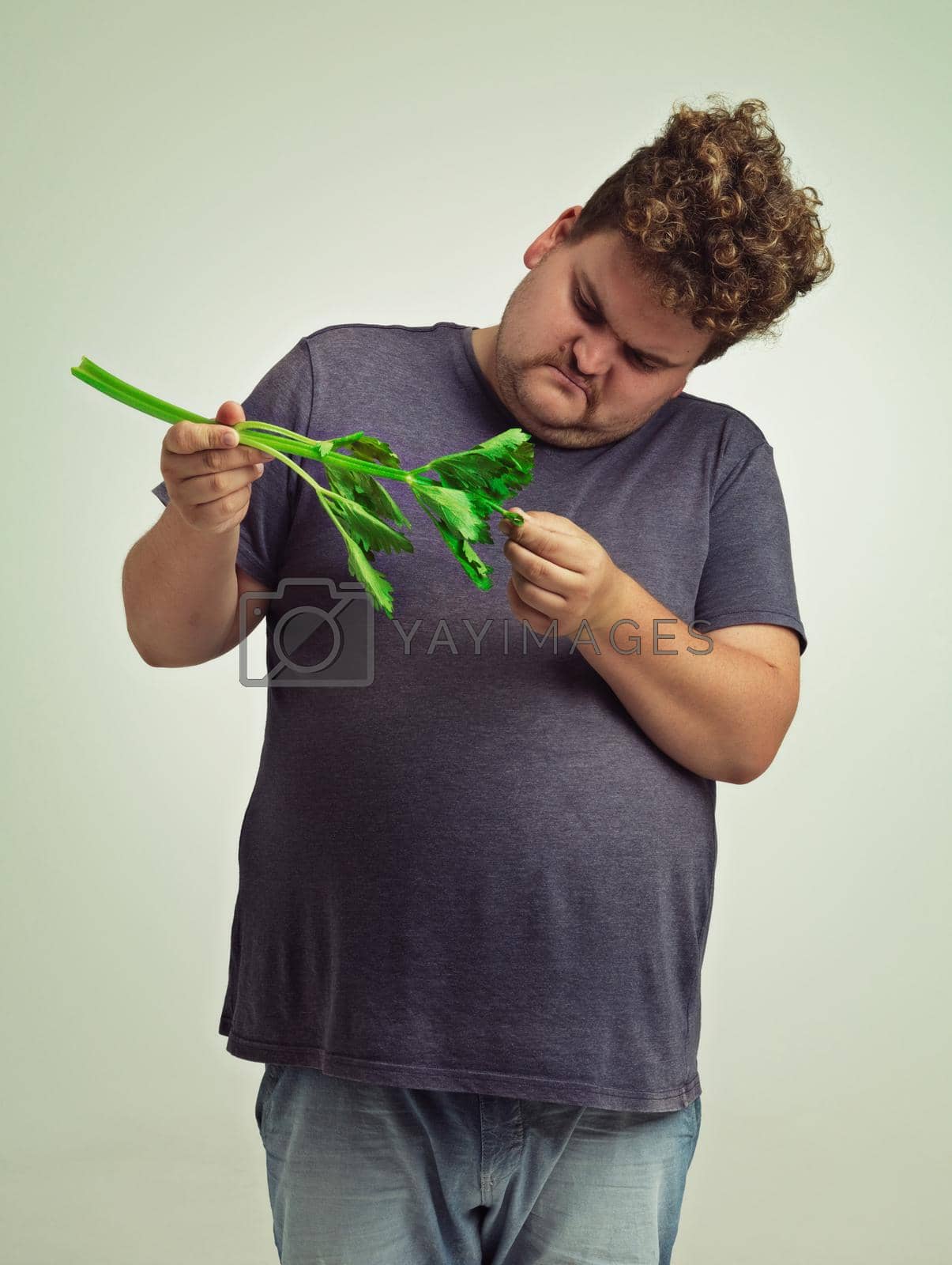 Royalty free image of What is this thing. an unhappy overweight man holding a celery stick. by YuriArcurs