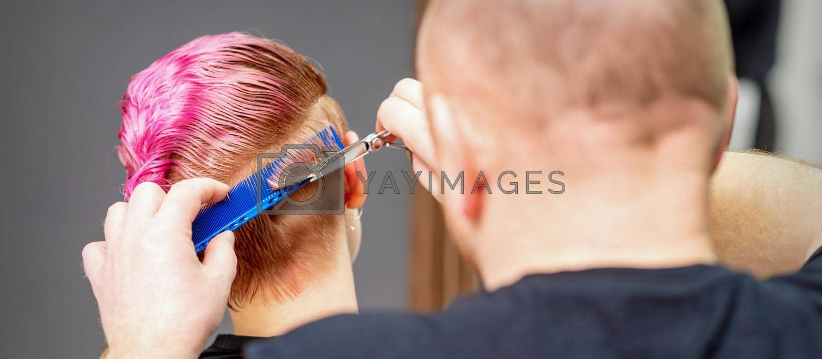 Royalty free image of Woman having a new haircut. Male hairstylist cutting pink short hair with scissors in a hair salon. by okskukuruza