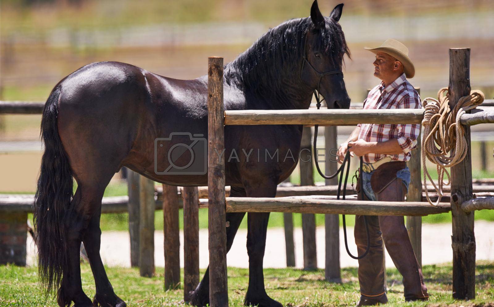 Royalty free image of Theres no bond like between a rider and his horse. a man looking at his horse. by YuriArcurs