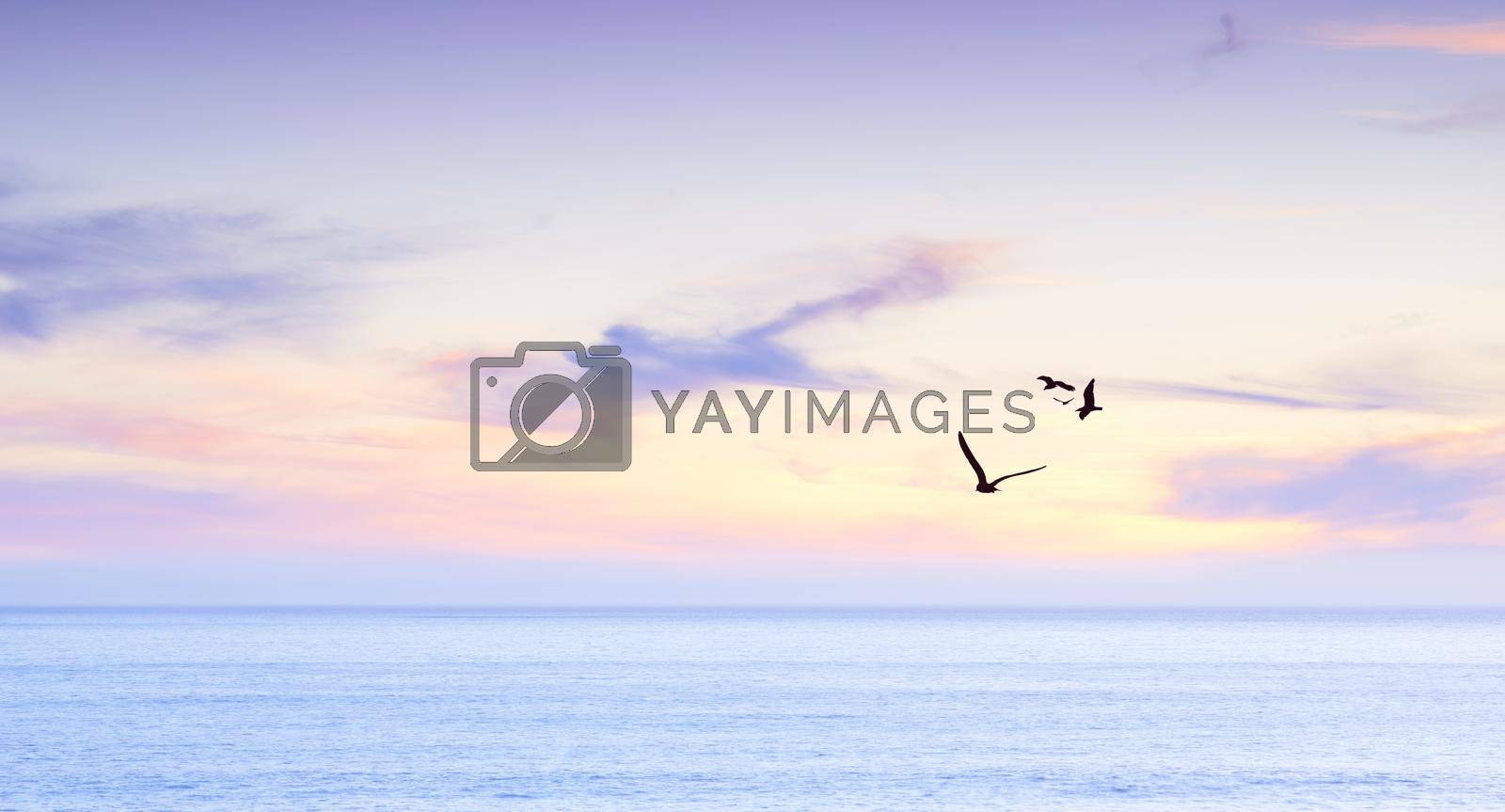 Royalty free image of Sunrise over a calm ocean. Seagulls flying over a calm ocean during sunrise. by YuriArcurs