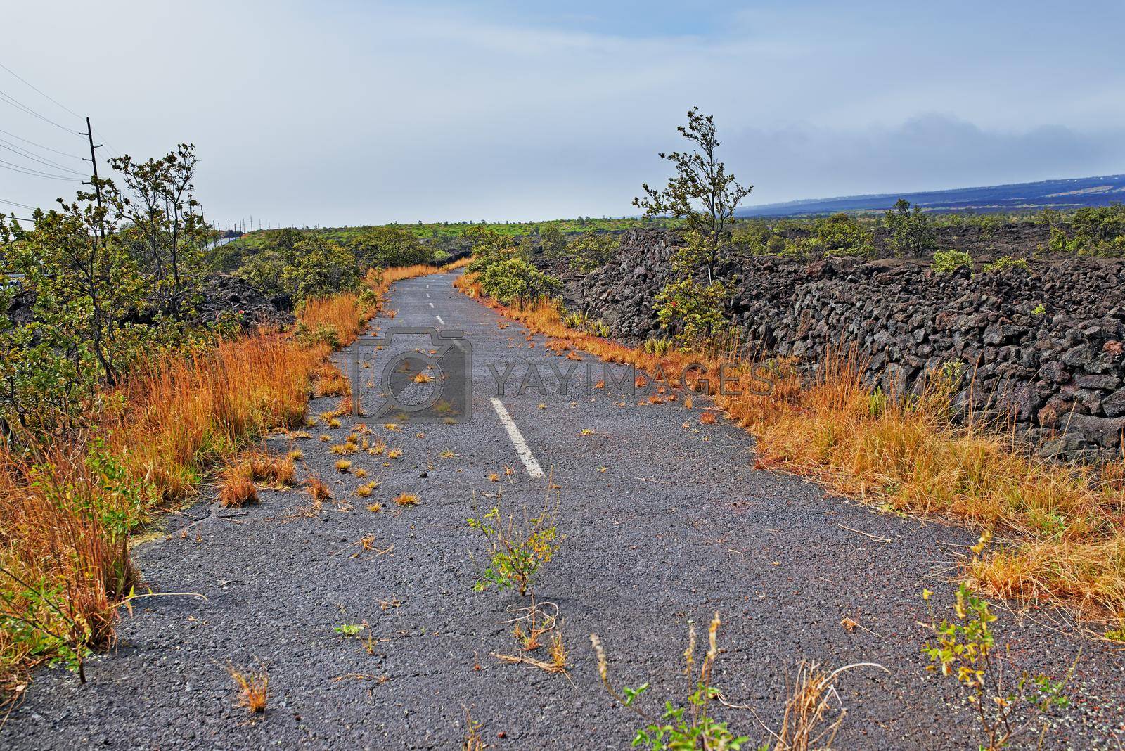 Royalty free image of Dead road because of volcano eroption - The Island of Hawaii, Hawaii by YuriArcurs