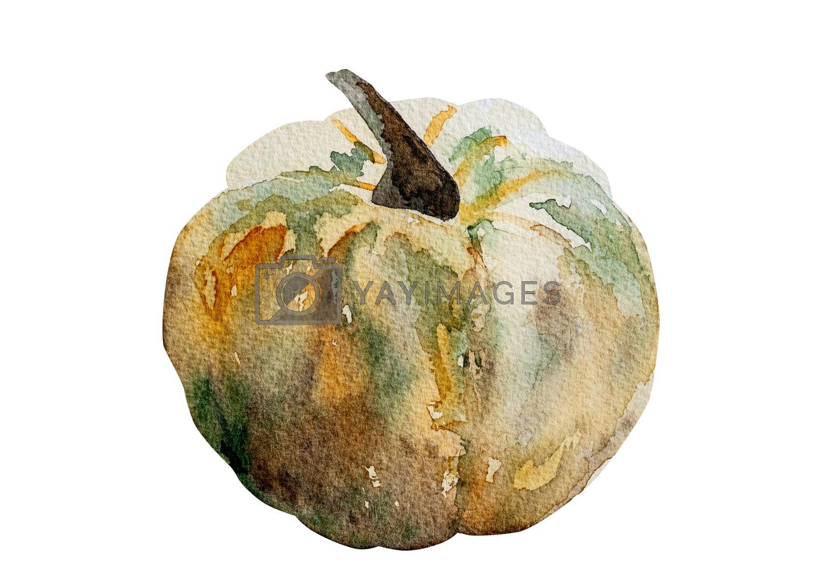 Royalty free image of Halloween watercolor pumpkin by tan4ikk1