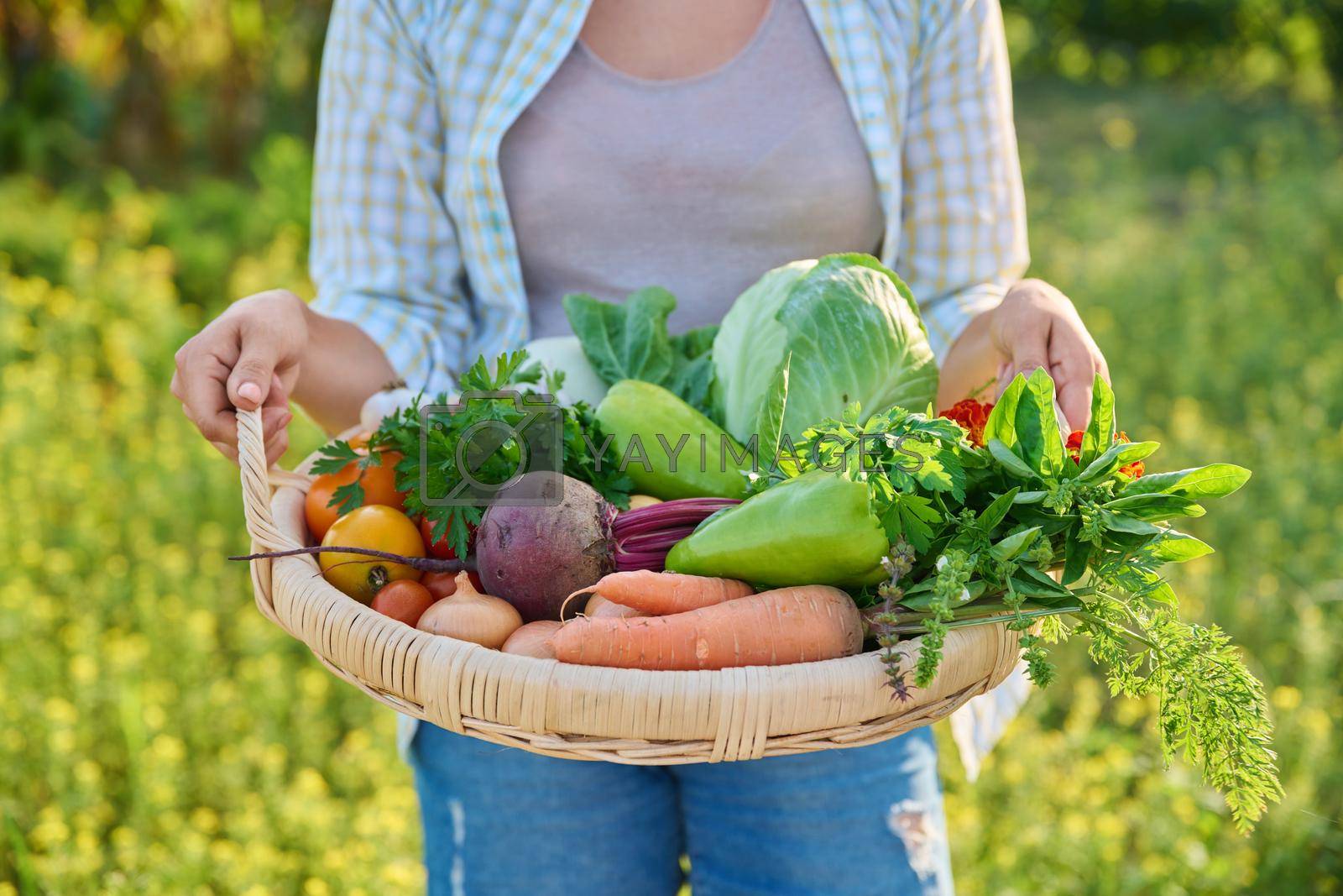 Royalty free image of Portrait of smiling woman with basket of different fresh vegetables and herbs by VH-studio