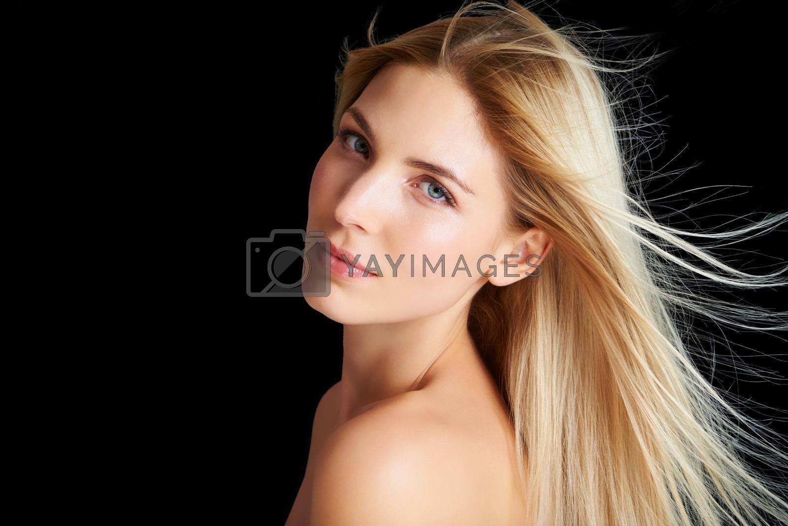 Royalty free image of Beauty is what shes known for. A blonde woman posing in front of a black background while the wind blows through her hair. by YuriArcurs