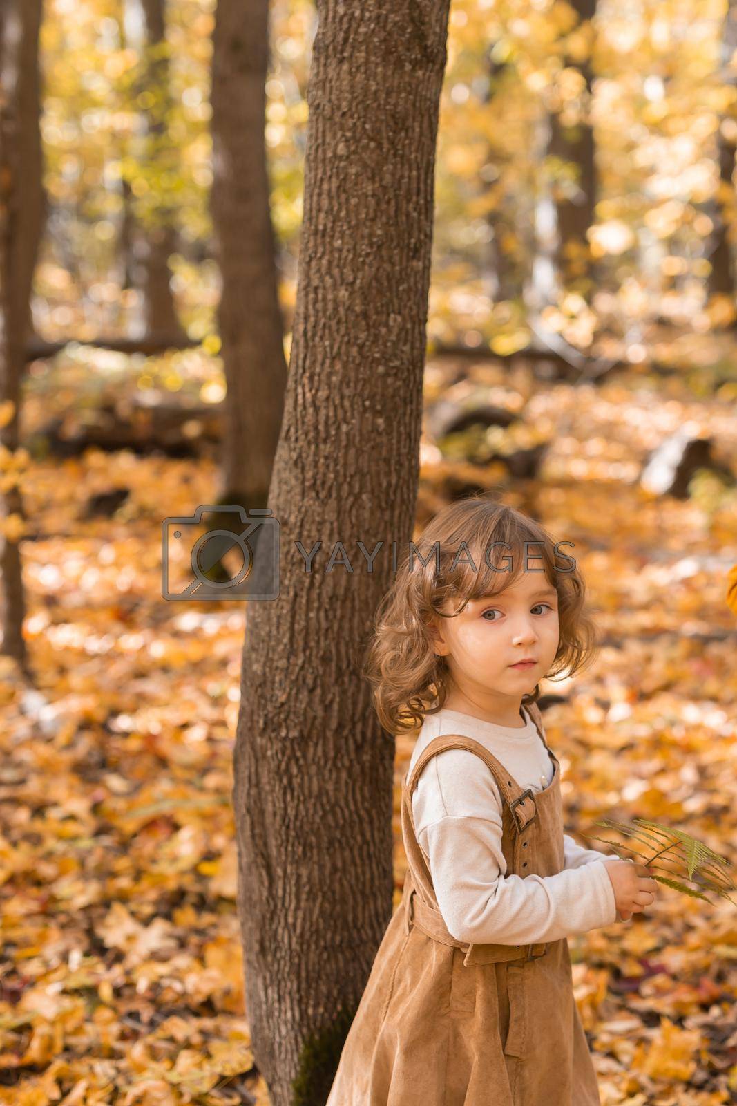Royalty free image of Little kid girl in autumn park. Lifestyle, fall season and children concept. by Satura86