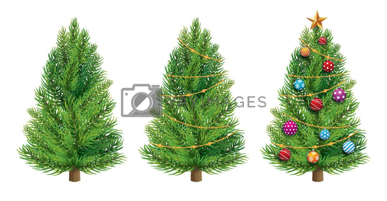 Royalty free image of christmas tree isolated on white background. by kaisorn
