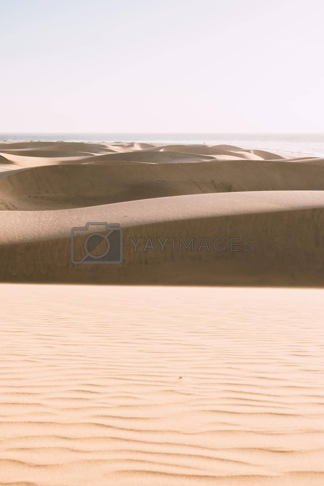 Royalty free image of Sand dunes beach of Maspalomas Gran Canaria during sunrise by fokkebok