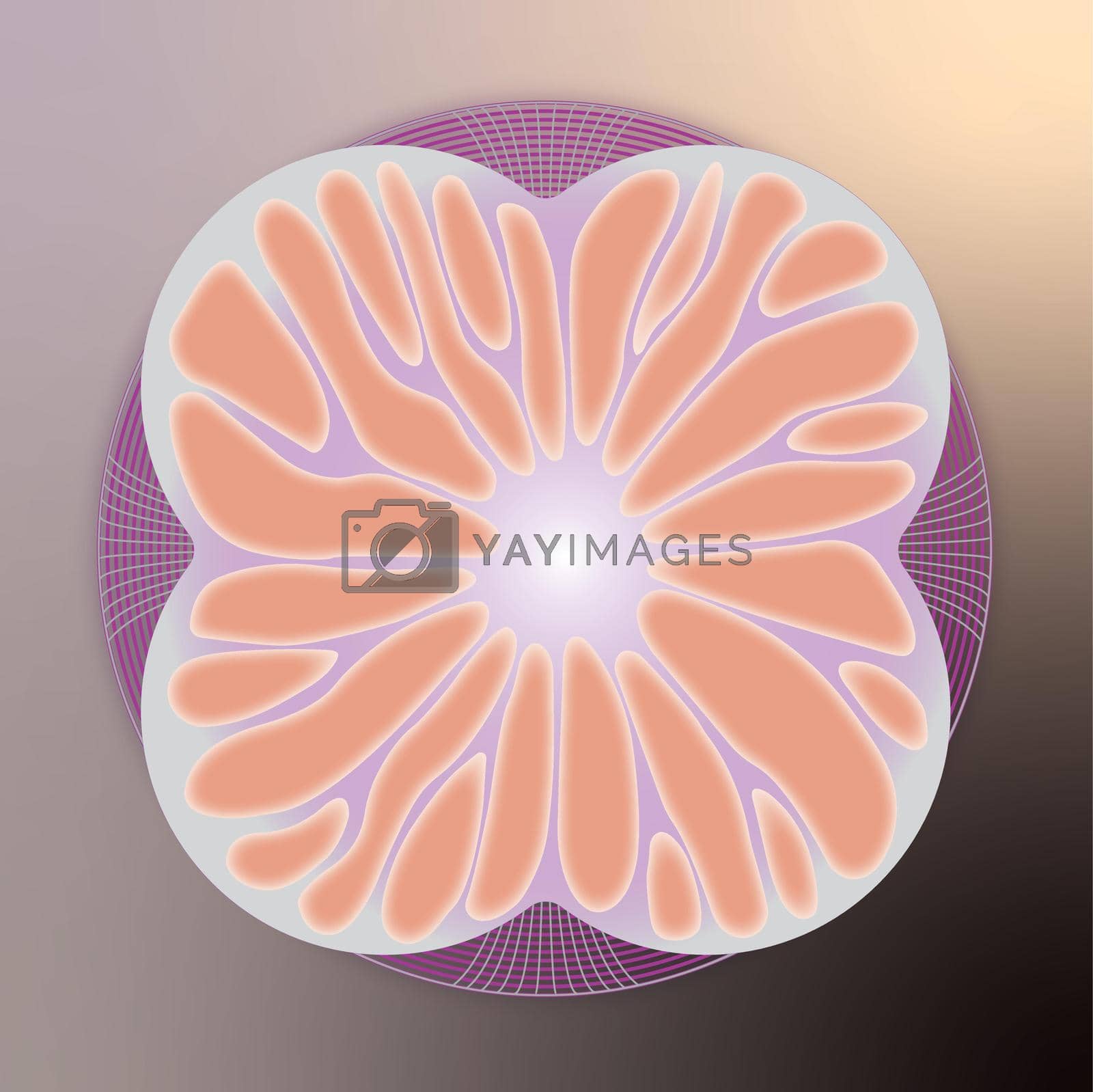 Royalty free image of Abstract figure in purple-orange tones by ArtBIN