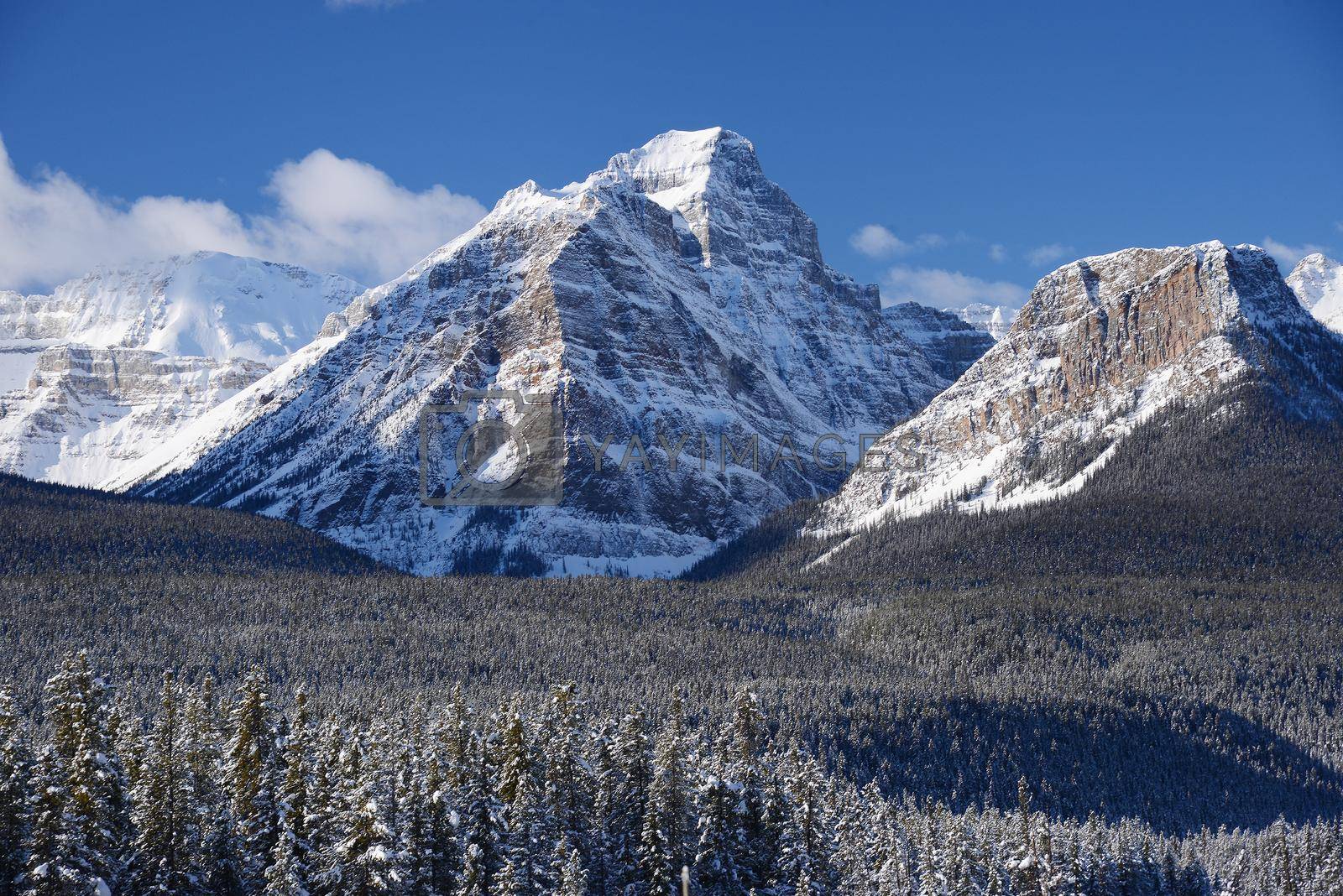 Royalty free image of winter canadian rockies by porbital