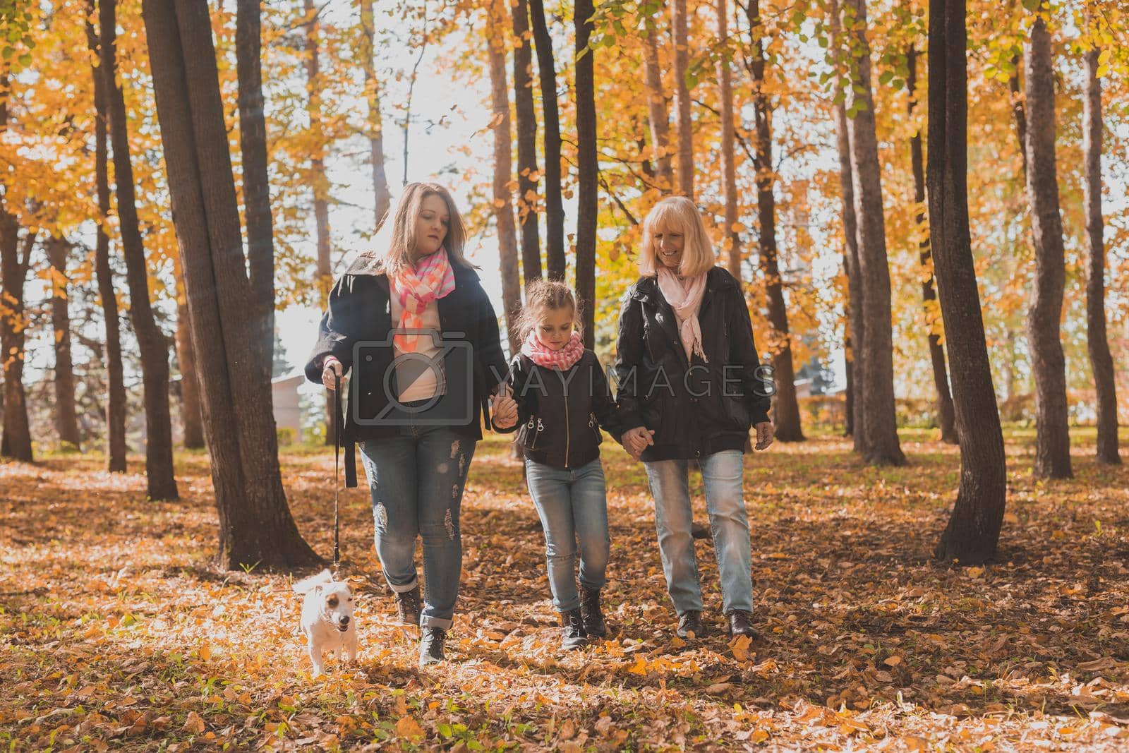 Royalty free image of Grandmother and mother with granddaughter walks together in autumn park and having fun. Generation, leisure and family concept. by Satura86
