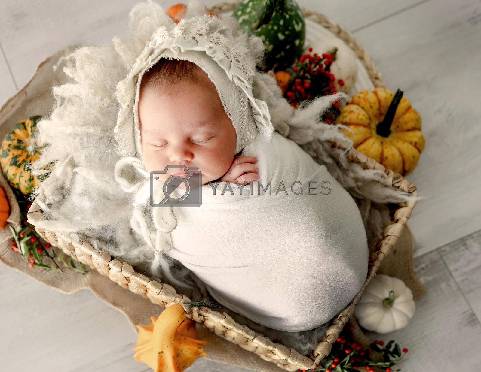Royalty free image of Newborn baby girl by tan4ikk1