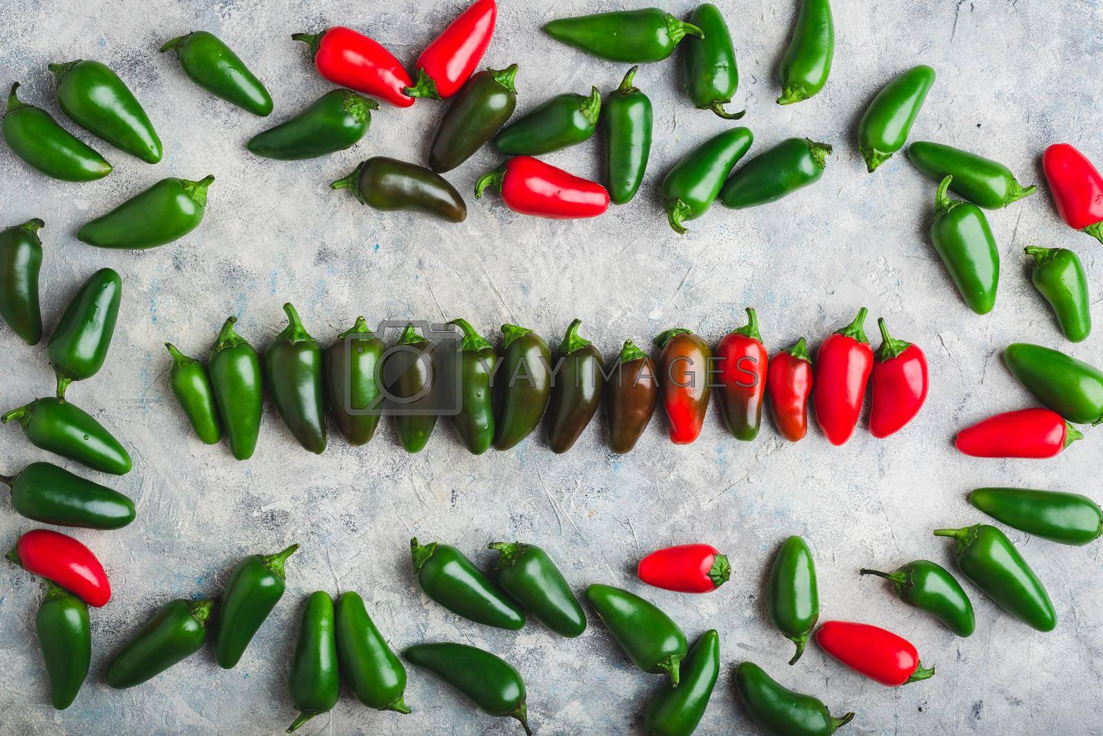 Royalty free image of Gradient of Jalapeno Chili Peppers on Light Background by Seva_blsv