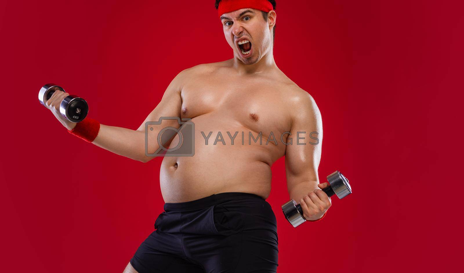 Royalty free image of Fat man doing workout traning with dumbbells. Athlete isolated over red background. by MikeOrlov