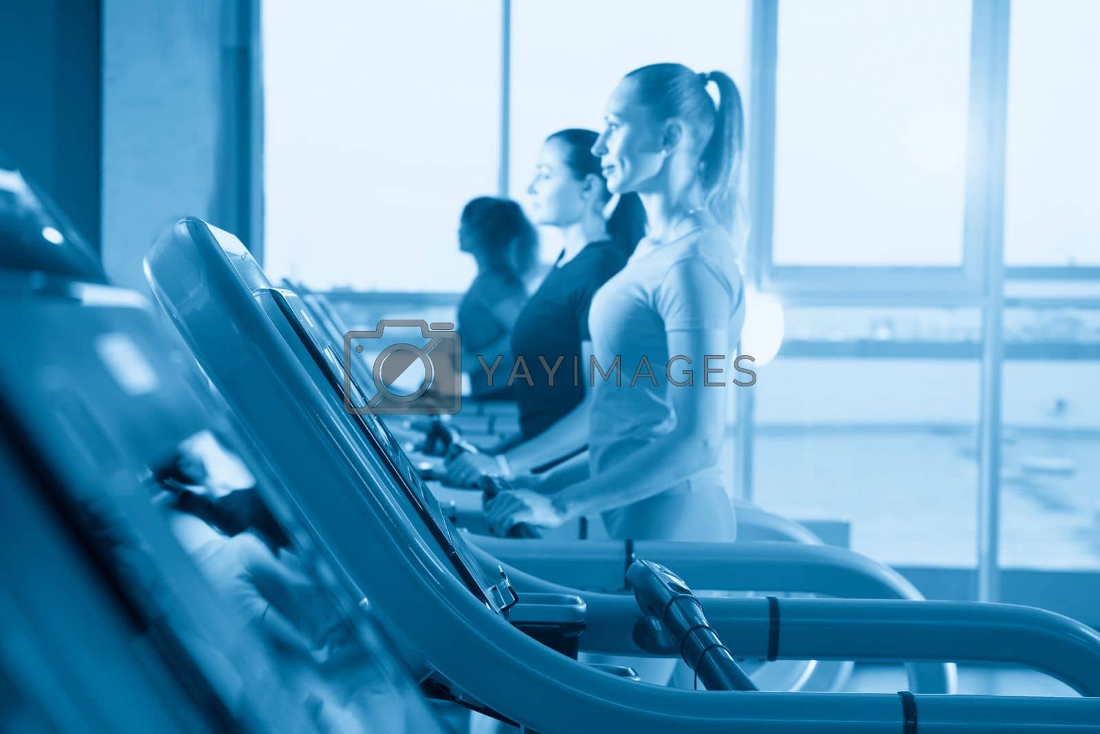 Royalty free image of group of young women running on treadmills in modern sport gym by Mariakray