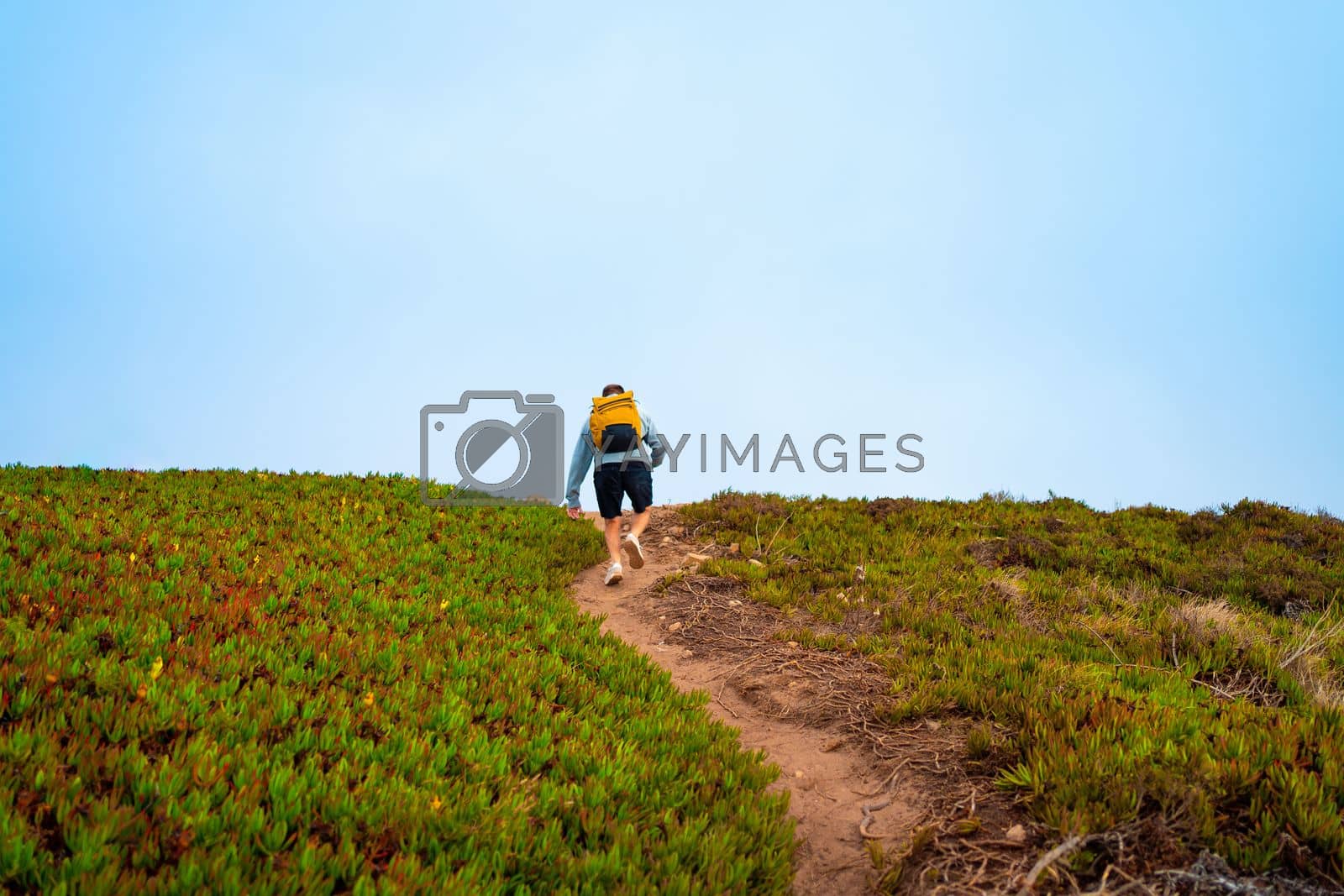 Royalty free image of Rear-view young man traveler with yellow backpack by andreonegin