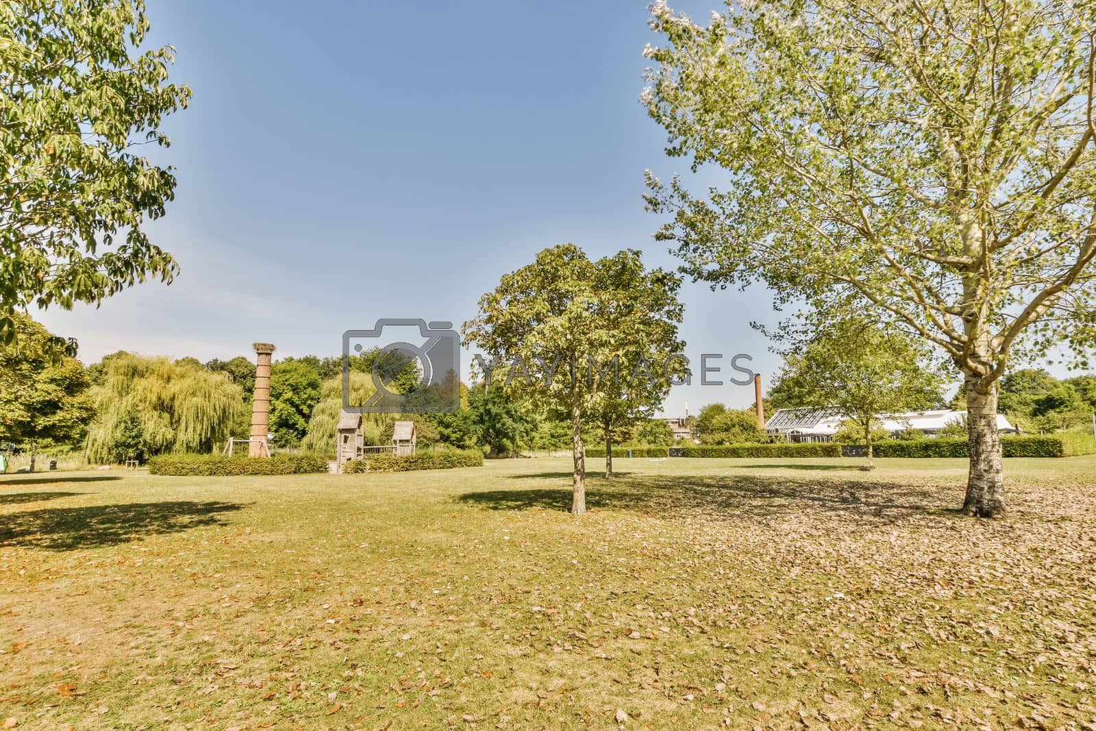 Royalty free image of a park with trees and a building in the background by casamedia
