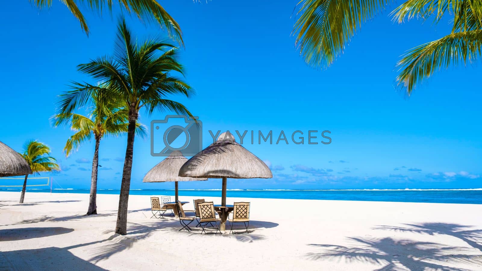 Royalty free image of Tropical beach with palm trees and white sand blue ocean and beach beds with umbrella,Sun chairs and parasol under a palm tree at a tropical beac, Le Morne beach Mauritius by fokkebok