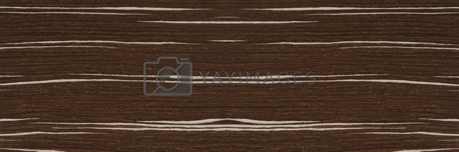 Royalty free image of Texture of wood with stripes. Texture of natural African wood with zebra pattern. High resolution photo of a brown black board. by SERSOL