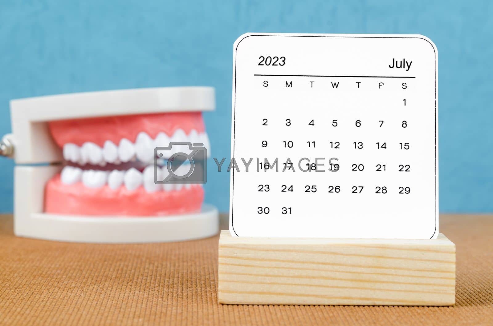 Royalty free image of The July 2023 Monthly calendar for 2023 year with Model tooth on wooden table. by Gamjai