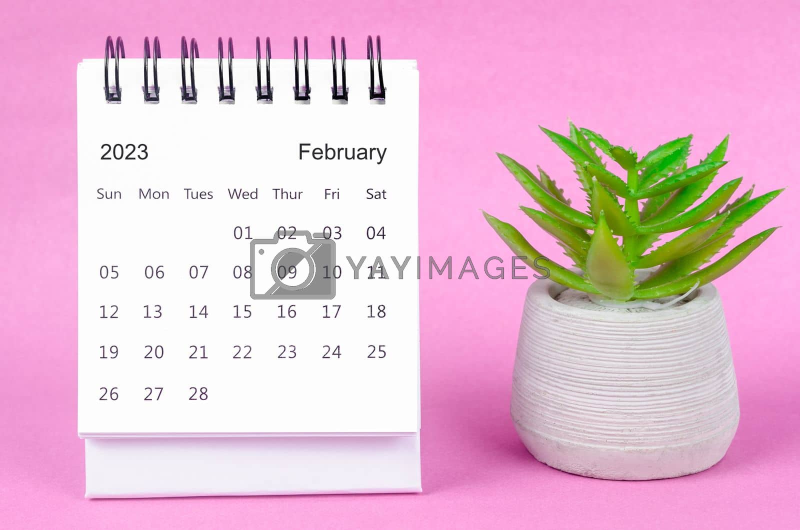 Royalty free image of The February 2023 desk calendar for 2023 on pink colour background. by Gamjai