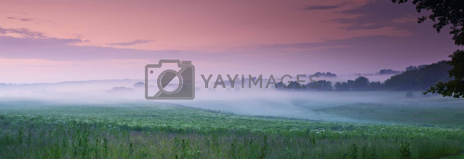 Royalty free image of Misty morning. Fog hanging over a green Danish landscape at dawn - Denmark. by YuriArcurs