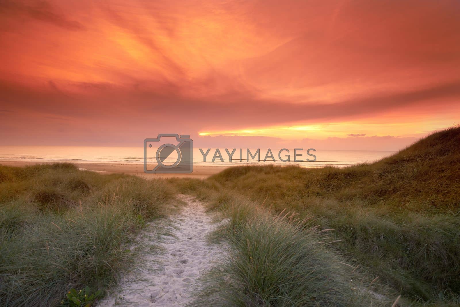 Royalty free image of Take a walk on the beach...A beautiful sunset over a pathway leading down to the beach. by YuriArcurs