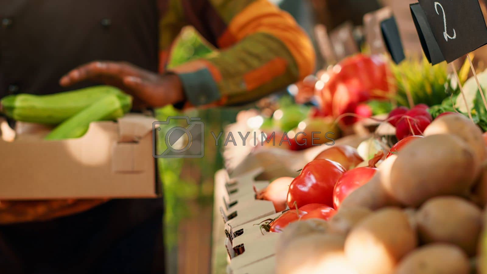 Royalty free image of Young business owner putting natural produce in box by DCStudio