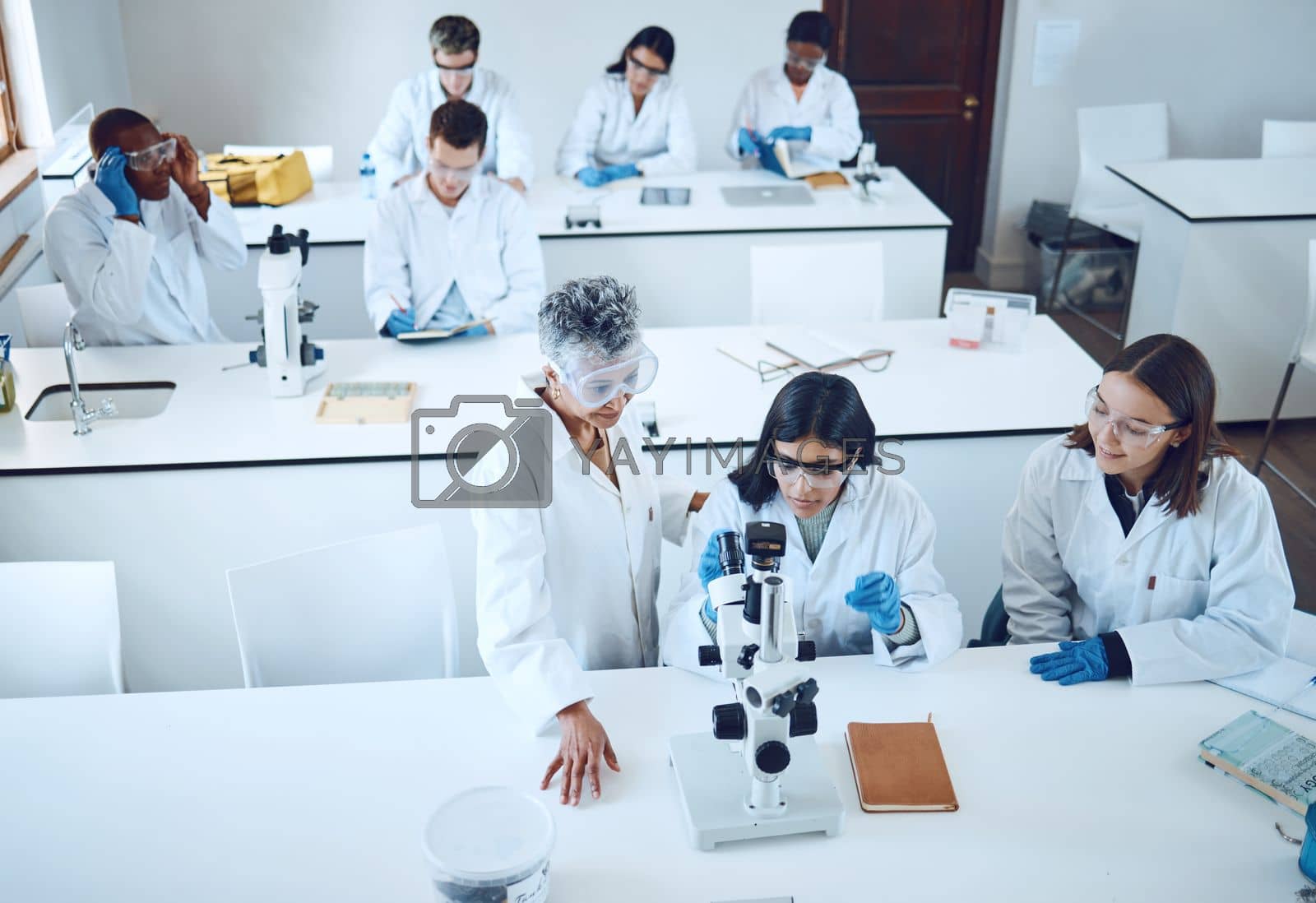 Royalty free image of Science, university students and microscope in scientist lab for learning from mentor for medical education or medicine research in class. Pharmacist and chemistry test for women group for analysis by YuriArcurs